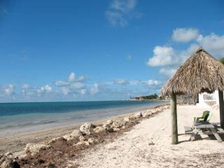 Pineapple Retreat, Serene Ocean View Escape #12 - Marathon - 6