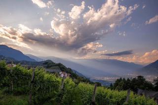 Florianshof - Tesimo - 5