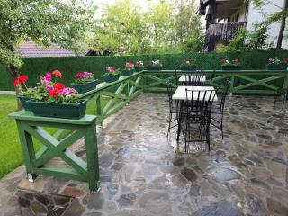 Casa Senik Monteoru Piscina ,Jacuzzi Sauna, Ciubar - Merei - 3