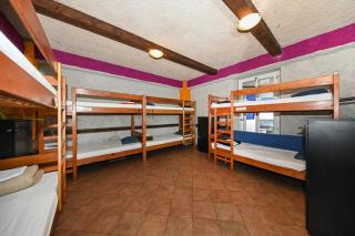 The Lazy Monkey Hostel & Apartments - Zadar - 4