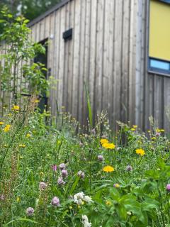 Wergelandshaugen - 10 Minutes From Oslo Airport - Sauna - Cafe - Sculpture park - Eidsvoll - 6