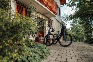 Cozy family place 'Hiša Grozdek' - Gruškovec 40A - Gruškovec - 5