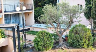 Precioso Apartamento Reformado en 1ra Linea de Mar sin vistas - Calella de Palafrugell - 9