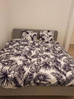 Logement Super Cosy Rue Mourre - Avignon - 6