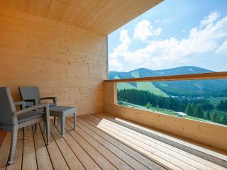 Almwellness Hotel Pierer - Fladnitz an der Teichalm - 4