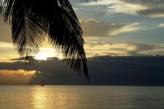 Tommy Bahama Charm with Ocean View & heated Pool #29 - Marathon - 2