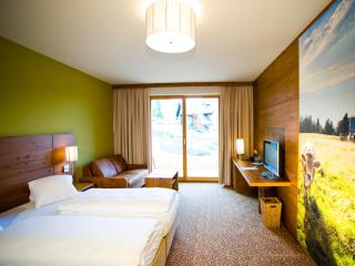 Almwellness Hotel Pierer - Fladnitz an der Teichalm - 1
