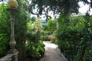 medea - Tbilisi - 2