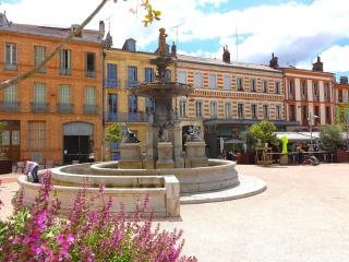 Toulouse-Cyprien, typique à 10' Capitole & Carmes - Toulouse - 2
