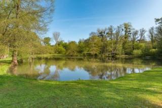 Epicéas, piscine, tennis, lac - - 4