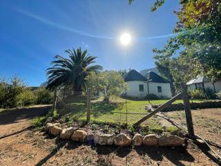 Fisaasbos - Tulbagh - 8