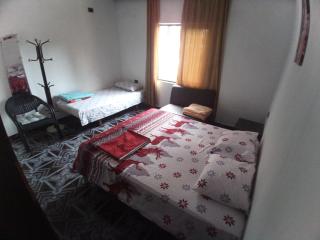 Private Flat In House 17 - Tirana - 0
