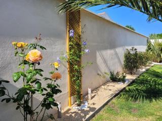 Le Logis du Palmier - Breuillet - 3