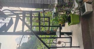 3 branch river - Bukit Lawang - 0