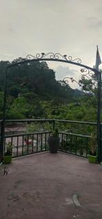 3 branch river - Bukit Lawang - 3