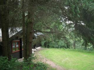 Wunderschönes Ferienhaus am Waldrand - Bad Arolsen - 7