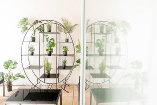 Luxuswohnung im Herzen Potsdams! - Potsdam - 5