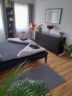 Penzion a restaurace Bílý Kůň - 9