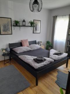 Penzion a restaurace Bílý Kůň - 8