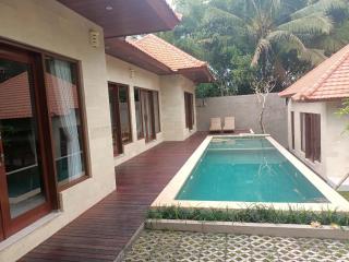 Ubud Dream House Villa - Ubud - 0