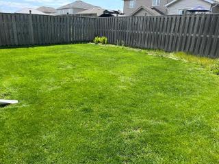 Spacious and Charming Bungalow Retreat (Close to Many Amenities) - 2