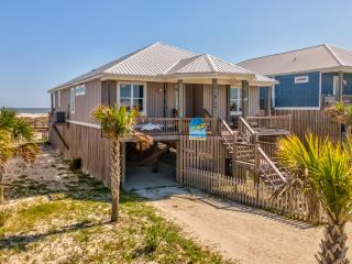 DI Nest - Dauphin Island - 9