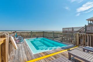 DI Nest - Dauphin Island - 7