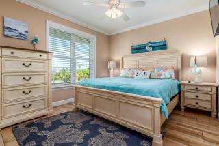 DI Nest - Dauphin Island - 1