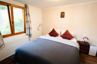 Casa Sighisoara56 - 6