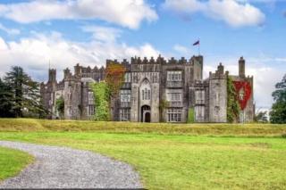 Hidden Hearts Apartment - Roscrea - 6