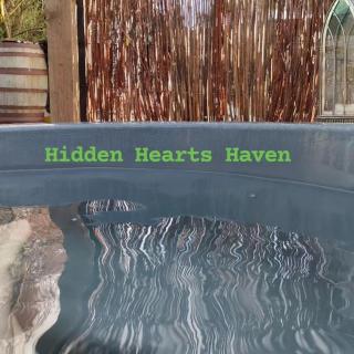 Hidden Hearts Apartment - Roscrea - 3