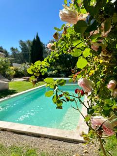 Les Lauriers Roses air-conditioned villa with garden and swimming pool - Saumane-de-Vaucluse - 9