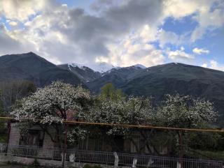 Kazbegi Cottage Memo - 0