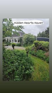 Hidden Hearts Apartment & Hottub - Roscrea - 0