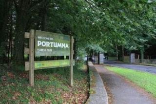 Hidden Hearts Apartment & Hottub - Roscrea - 3