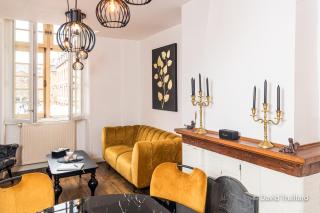 Suites Mana - MAHANA avec VUE SUPERBE sur la Place DUCALE et Parking privé inclus - Charleville-Mézières - 6