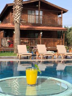 Defne Olive Gardens, Koca Calis, Fethiye - Previously Defne Pansiyon - Fethiye - 6