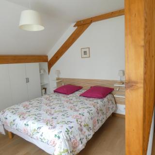 les iris - Villevieux - 6