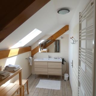 les iris - Villevieux - 3