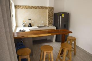 Apartamento Villa Carolina 101 - 3