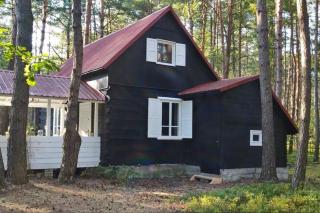 Wilga - urokliwy dom z bala (50 km od Warszawy) - 7