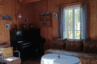 Wilga - urokliwy dom z bala (50 km od Warszawy) - 6
