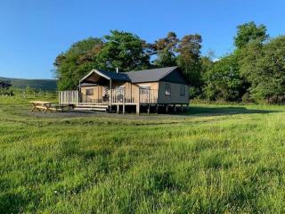 Plover - Bleasdale - Chipping - 9