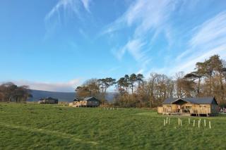 Plover - Bleasdale - Chipping - 3