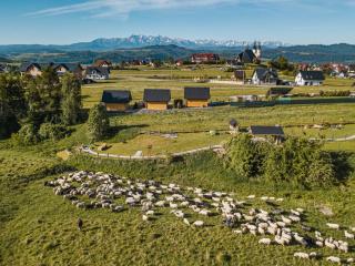 Zaciszne Domki w Kluszkowcach z Sauną i Balią - 8