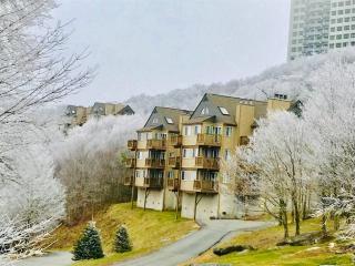Come relax at 4900 feet - Sugar Mountain - 8