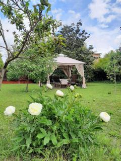 Apartamento con encanto L'Estany 1 - 1