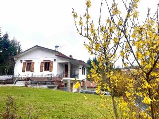 Tuscany Villa 250m2, private land 3000m2 - Consuma - 0