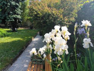 Vincennes, pour 8, avec grand jardin - Vincennes - 1