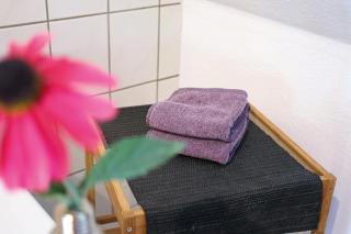 Appartments Zur Schlosswache Delitzsch - Delitzsch - 2